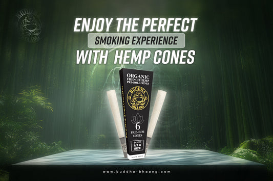 Enjoy The Perfect Smoking Experience With Hemp Cones